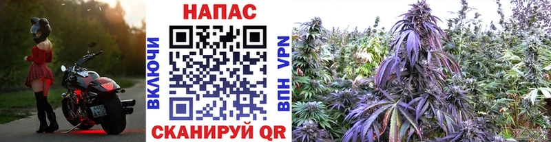 Наркошоп купить Марихуана  АМФ  Меф мяу мяу  Alpha PVP  Покачи