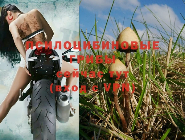 стафф Баксан